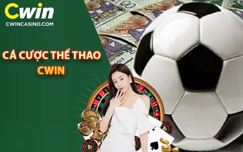 Khám phá chi tiết cơ sở dữ liệu Thái Bình cho nhu cầu của bạn